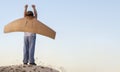 Happy boy with cardboard boxes of wings against sky dream of flying Royalty Free Stock Photo