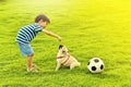 Happy boy with dog Royalty Free Stock Photo