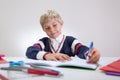 Happy boy doing homework Royalty Free Stock Photo