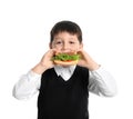 Happy boy eating sandwich. Healthy food for school lunch Royalty Free Stock Photo