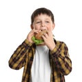 Happy boy eating sandwich on white. Healthy food for school lunch Royalty Free Stock Photo
