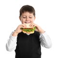 Happy boy eating sandwich on white. Healthy food for school lunch Royalty Free Stock Photo
