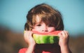 Happy boy eating watermelon. Cute boy eating healthy food melon in nature background. Fresh organic watermelons. Royalty Free Stock Photo