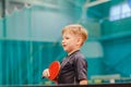 Boy playing table tennis in the tennis hall Royalty Free Stock Photo