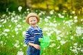 A happy boy in a hat walks through a field with flowers and catches butterflies with a net, happy childhood, children`s lifestyle Royalty Free Stock Photo