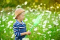 A happy boy in a hat walks through a field with flowers and catches butterflies with a net, happy childhood, children`s lifestyle Royalty Free Stock Photo