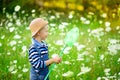 A happy boy in a hat walks through a field with flowers and catches butterflies with a net, happy childhood, children`s lifestyle Royalty Free Stock Photo