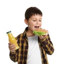 Happy boy holding sandwich and bottle of juice. Healthy food for school lunch Royalty Free Stock Photo