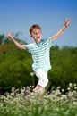 Happy boy on meadow Royalty Free Stock Photo