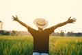 Happy boy open hand on green rice field during sunset Royalty Free Stock Photo