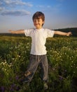 happy boy outstretched arms on green summer field Royalty Free Stock Photo