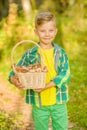 Happy boy picking mushrooms in autumn forest Royalty Free Stock Photo