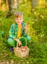 Happy boy picking mushrooms in autumn forest Royalty Free Stock Photo