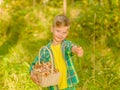 Happy boy picking mushrooms in autumn forest Royalty Free Stock Photo