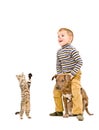 Happy boy playing with a puppy and kitten Royalty Free Stock Photo