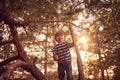 Happy boy sitting high up in a pine tree at sunset Royalty Free Stock Photo