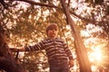 Happy boy sitting high up in a pine tree at sunset Royalty Free Stock Photo