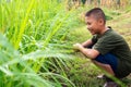 Happy boy is smiling relaxing in nature while surveying in green rice field in the morning, environmental conservation and Royalty Free Stock Photo