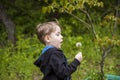 A happy boy on a spring day in the garden blows on white dandelions, fluff flies off him. The concept of outdoor recreation in Royalty Free Stock Photo