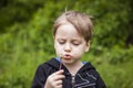 A happy boy on a spring day in the garden blows on white dandelions, fluff flies off him. The concept of outdoor recreation in Royalty Free Stock Photo