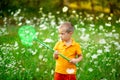Happy boy walks through the field with flowers and catches butterflies with a net, happy childhood, children`s lifestyle Royalty Free Stock Photo