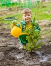 Happy boy watering the planted tree