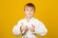 Healthy sporty childhood and lifestyle. Preschooler boy dressed in a white kimono over yellow wall