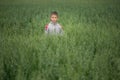 Happy boy young man on a green grain field Royalty Free Stock Photo