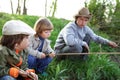 Happy boys fishing Royalty Free Stock Photo