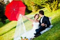 Happy bride and groom Royalty Free Stock Photo