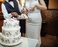 Bride and groom cutting the wedding cake Royalty Free Stock Photo