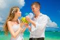 Happy bride and groom drink coconut water and having fun on a tr Royalty Free Stock Photo