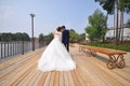 Happy bride and groom embracing kissing on the bridge, shoot from back Royalty Free Stock Photo