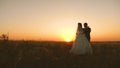 Happy bride and groom hug in the bright sunshine. enamored newlyweds hug each other and stand in the field against the