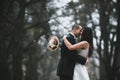 Happy bride and groom kissing in the autumn forest Royalty Free Stock Photo