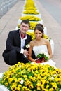 Happy bride and groom near yellow flowers Royalty Free Stock Photo