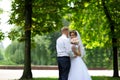 Happy bride and groom on their wedding Royalty Free Stock Photo