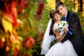 Happy bride and groom on their wedding Royalty Free Stock Photo