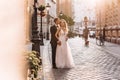 Happy bride and groom on their wedding day Royalty Free Stock Photo