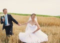 Happy bride and groom. their wedding day. Wheat field Royalty Free Stock Photo