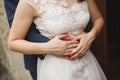 Happy bride and groom on their wedding hugging. Royalty Free Stock Photo