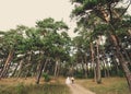 Happy bride and groom in the pine trees forest. their wedding day Royalty Free Stock Photo