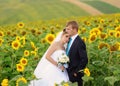 Happy bride and groom on their wedding. Sunflowers field Royalty Free Stock Photo