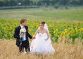 Happy bride and groom on the wheat field. Sunflowers field behind. wedding day Royalty Free Stock Photo