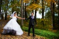 Happy bride and groom walking in autumn park Royalty Free Stock Photo