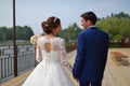 Happy bride and groom walking holding hands from back Royalty Free Stock Photo