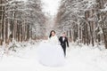 Happy bride and groom in winter wedding day Royalty Free Stock Photo