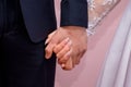 Happy brides holding hands, closeup. Happiness concept_ Royalty Free Stock Photo