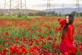 Young brunette woman with long groomed hair in red dress enjoy a poppy field Royalty Free Stock Photo