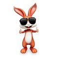 Happy bunny thumb up with sunglass